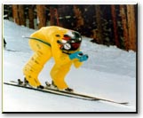 1999 Snowmass Colorado - U.S. Speed Ski Nationals
