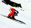 CarolynCurl1-sm.jpg (8046 bytes)