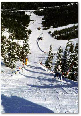 Mt. Hood, Oregon - speed ski race track