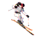 speedski.com