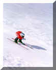Jeff Hamilton helicopter viewage